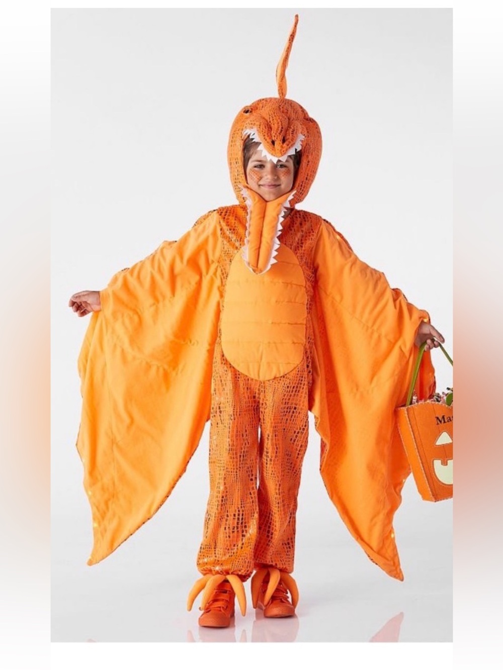 Pottery Barn Orange Pterodactyl light up kid’s custom 4/6